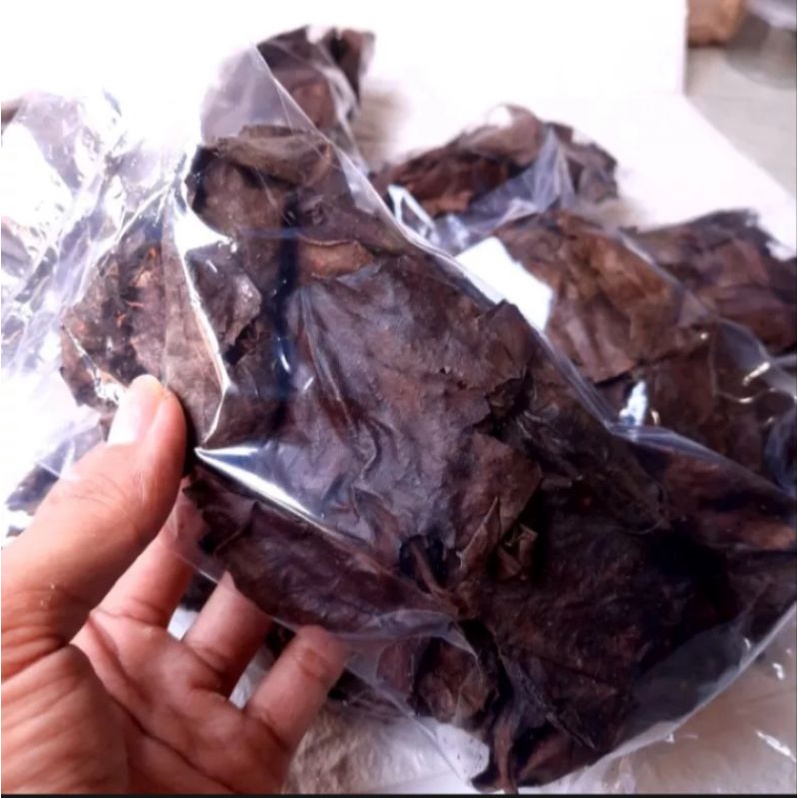 

Daun ketapang asli laut olahan bersih kering readystock siap kirim