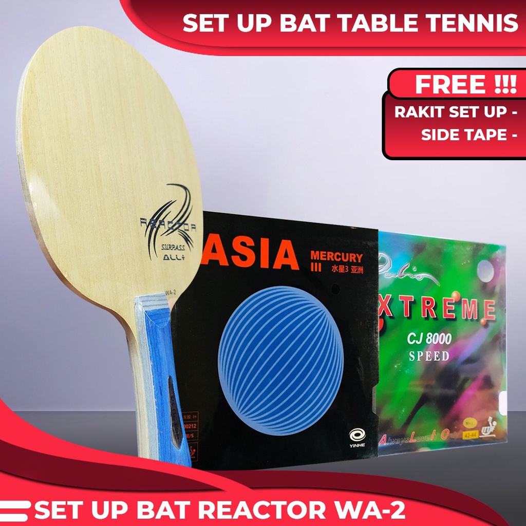 Setup Tenis Meja Reactor WA-2 Yinhe Mercury 3 Asia Palio CJ8000 Speed