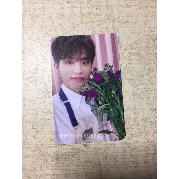 (BOOKED)Photocard treasure jeongwoo md blooming rpc blooming jeongwoo