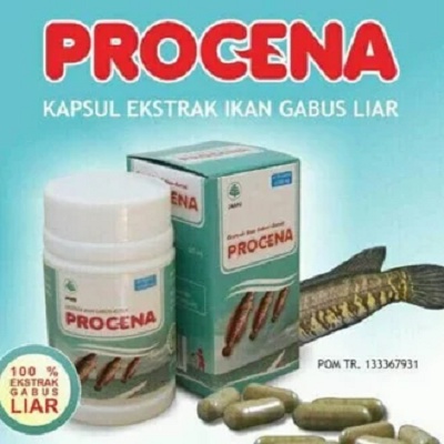 PROCENA EKSTRAK IKAN GABUS 60 KAPSUL / ikan kutuk