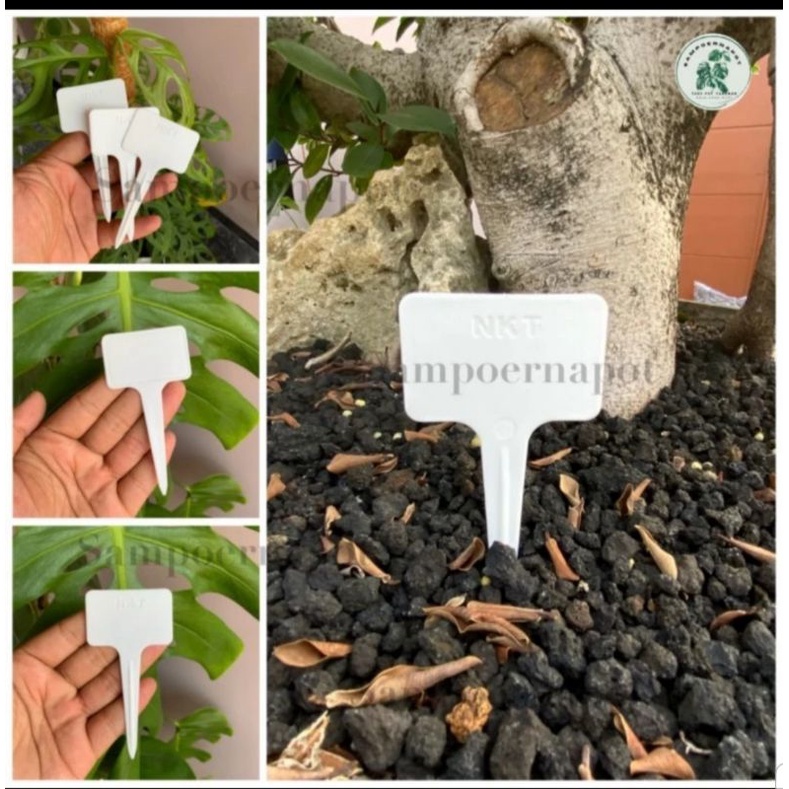 

name tag tanaman