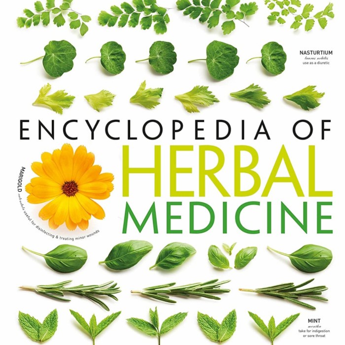 Buku Encyclopedia of herbal medicine - isi hitam putih