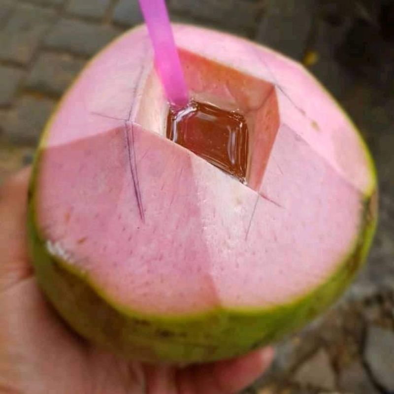 

Kelapa Hijau Wulung