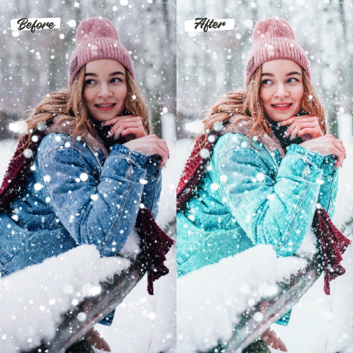 20 Lightroom Preset Holiday Magic IOS/Android &amp; Dekstop