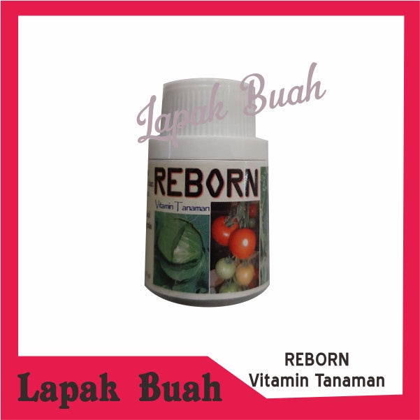 Yes# Pestisida Reborn Vitamin Tanaman untuk Keriting Daun Cabe Tomat Ulat K -x;