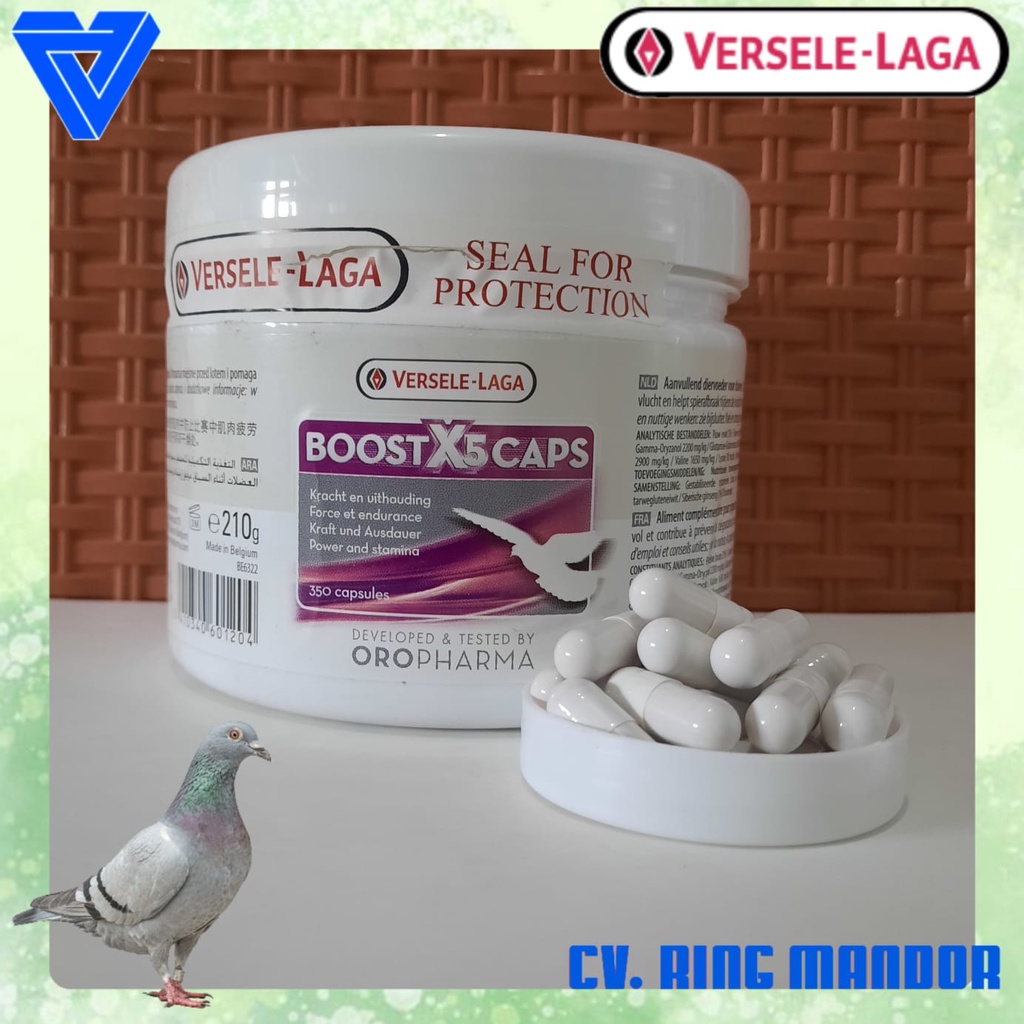 BOOST X5 CAPS VERSELE-LAGA 10 Kapsul