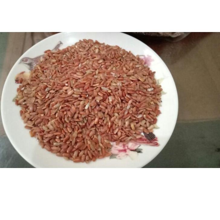 

CODEZz6Z0--Beras Merah Organik De Langgu 1 kg murah