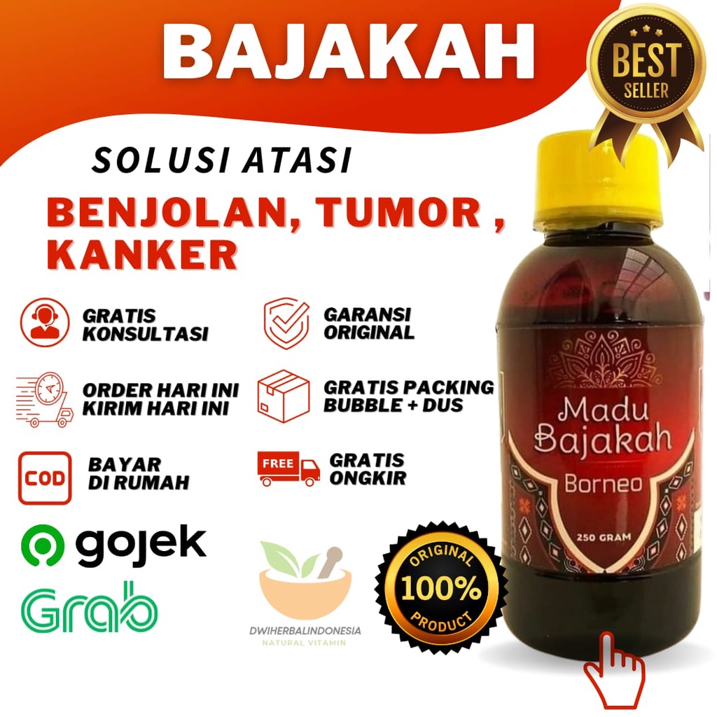 BEST SELLER BADU BAJAKAH ASLI BAJAKAH KALIMANTAN AKAR BAJAKAH KAYU BAJAKAH UNTUK KANKER DAN BENJOLAN