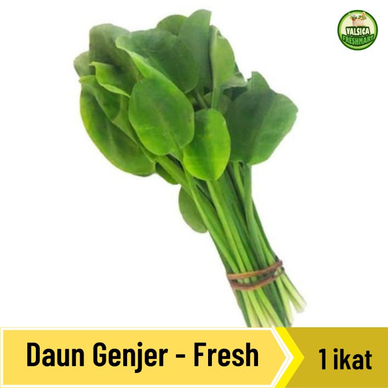 

Daun Genjer Segar - 1 ikat