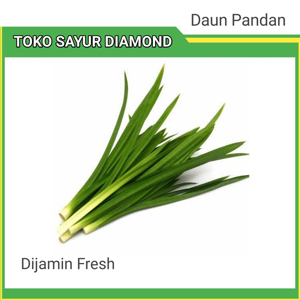 

Daun Pandan Per Ikat