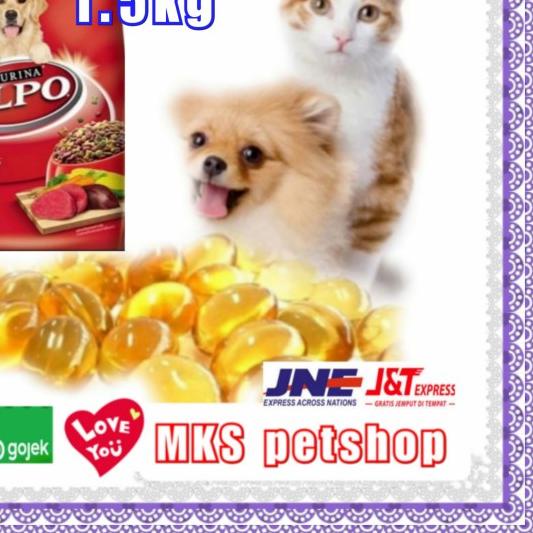 Alpo beef adult 1.5kg-dog food