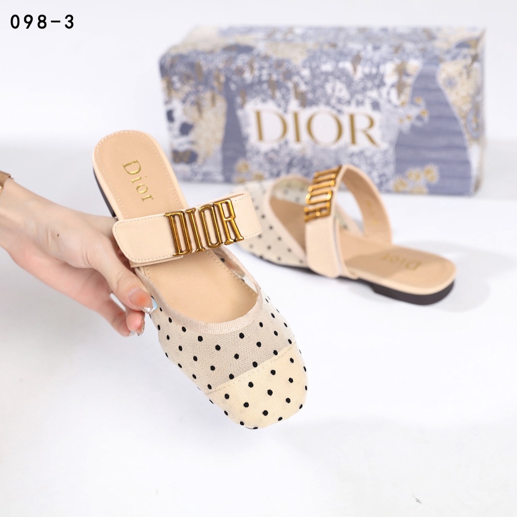 DR Mesh Polka Dot Flats Shoes 098-3