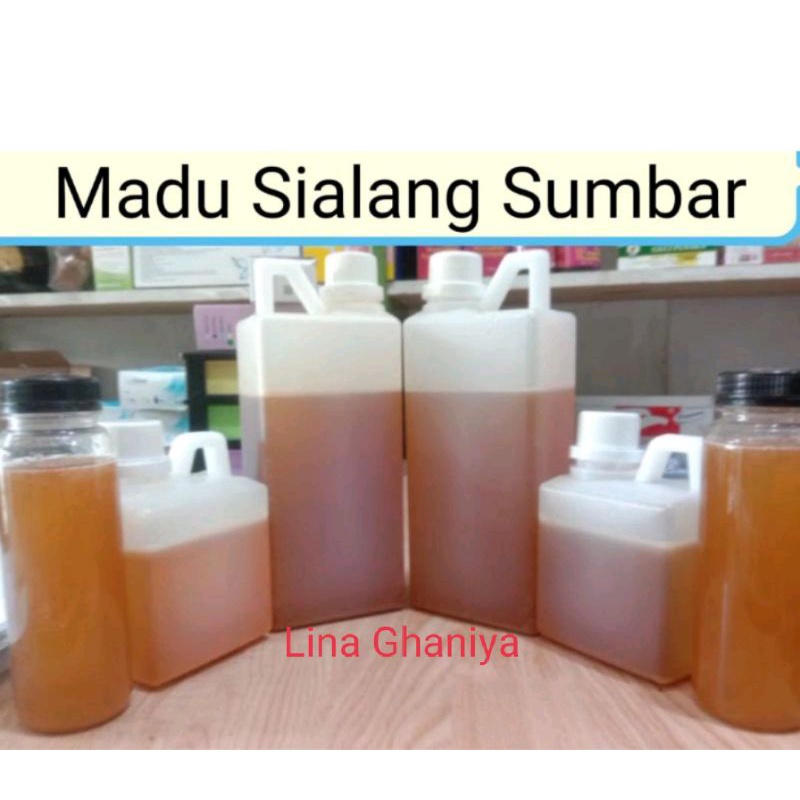 

Madu Sialang, Madu Murni Sumbar Promo Harga, Stok Ready