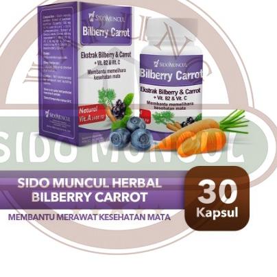 

PROMO HARI INI Sido Muncul Herbal Bilberry Carrot 30 Kapsul - Mata Sehat Segar 