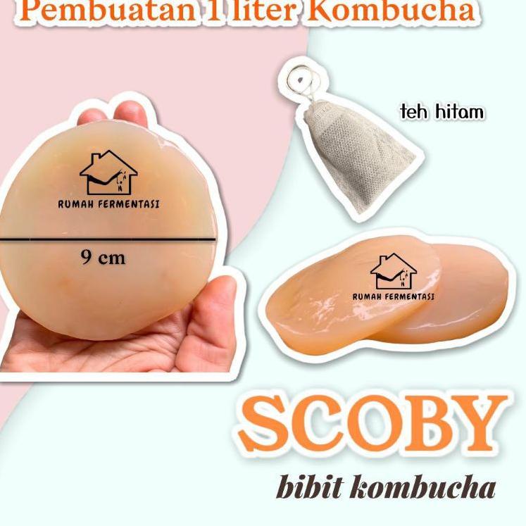 

KODEU0g0F--SCOBY/Bibit Kombucha (KUALITAS PREMIUM)