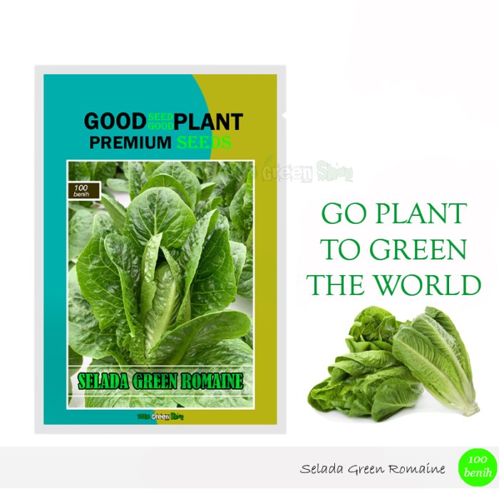 100 biji - Benih Bibit Sayuran Selada Green Romaine Island F1 Premium