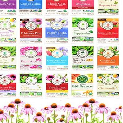 

ARTVv2V6--TRADITIONAL MEDICINALS ORGANIC 16 Wrapped Tea Bags ( II )