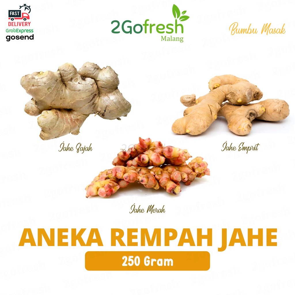 

Bumbu Jahe Putih/ Gajah/ Merah/ Emprit Fresh - Rempah Sayur Sayuran