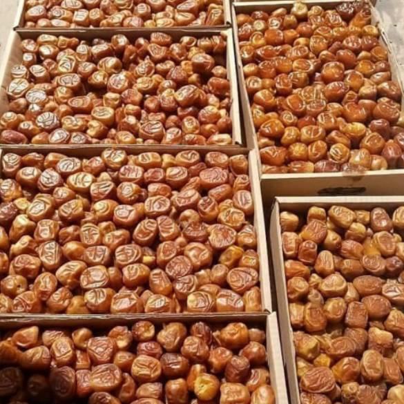 

piul Kurma Sukari 3kg ORIGINAL / sukari al qassim 3kg murah / Kurma Sukari Al qassim timbangan lebih Limit Edision