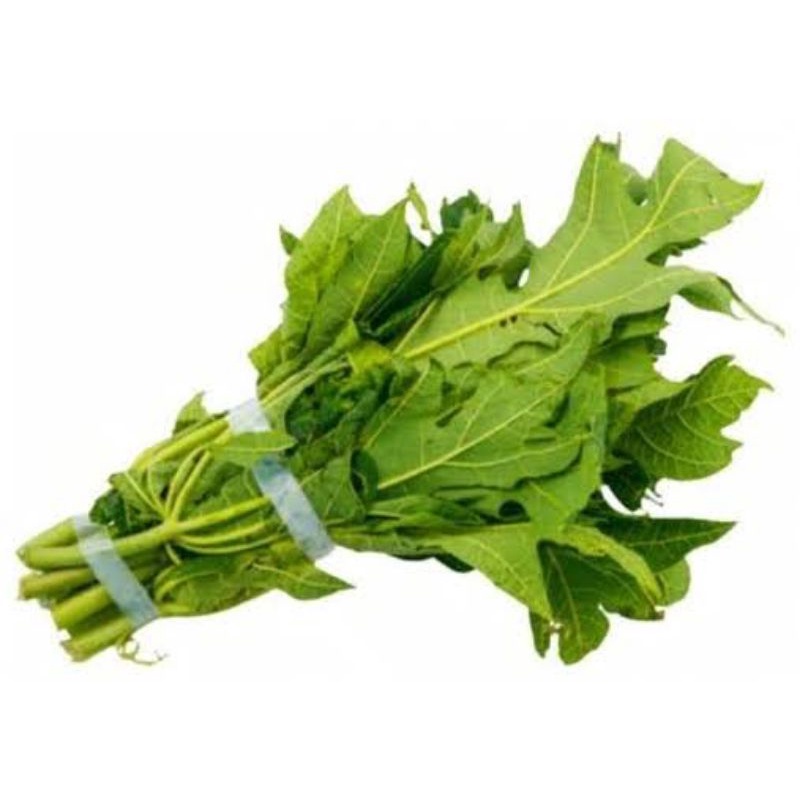 

SAYUR DAUN PEPAYA JEPANG/DAUN PEPAYA PAHIT 1IKAT