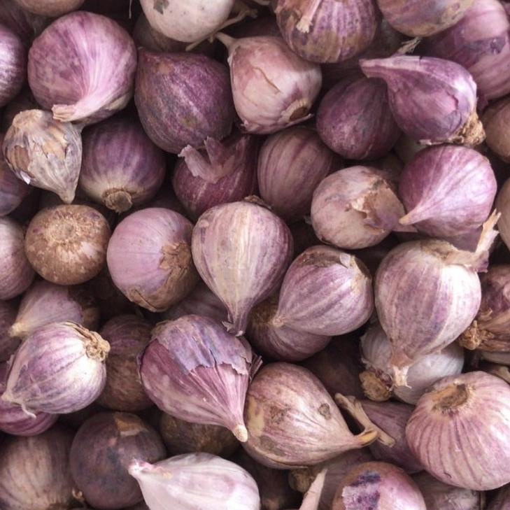 

✨SHOPEE MALL✨ Bawang Putih Tunggal 1 kg !