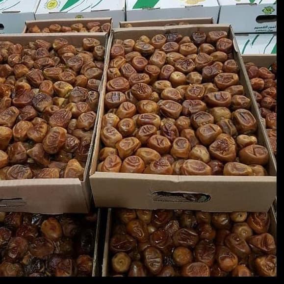 

FREE ONGKIR!KURMA SUKARI AL QOSSIM 3KG|SQ8