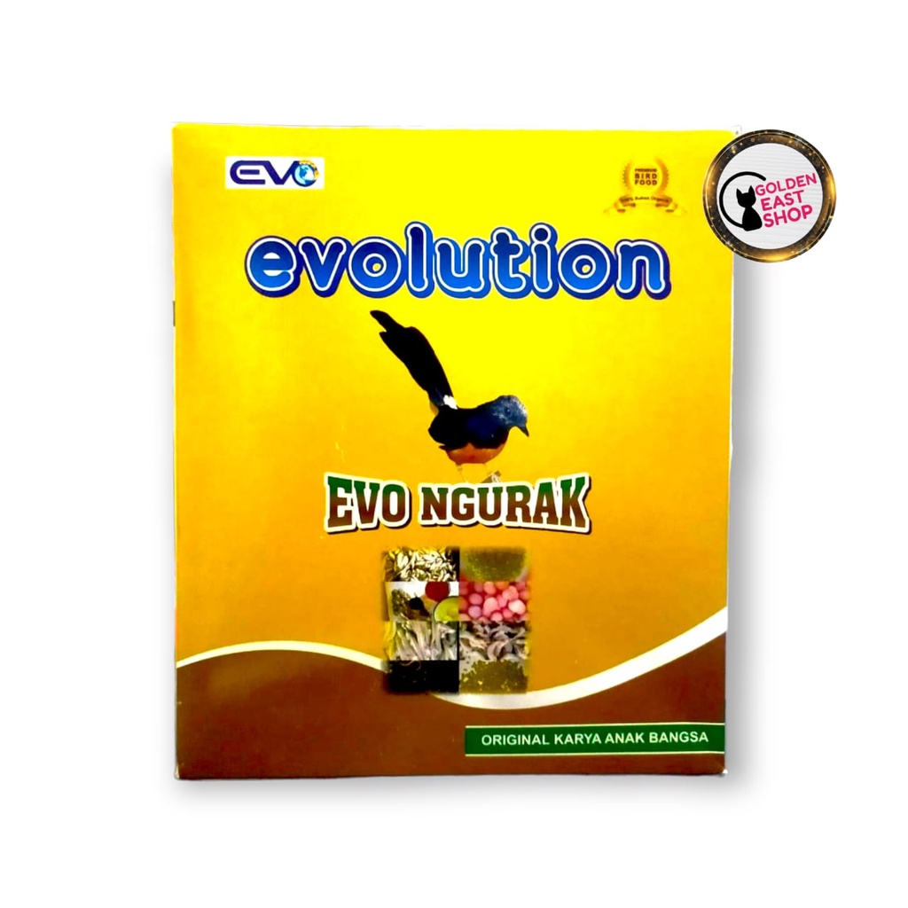 VOER EVOLUTION EVO NGURAK VOER PERONTOK BULU BURUNG MABUNG UNTUK MURAI BATU KACER C IJO CENDET