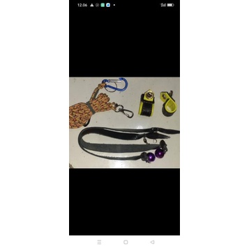 anglet 2 layer burung alap2