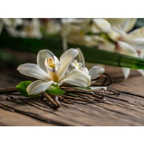 

100gr - Vanili Tahiti bean grade A - Vanilla Tahitensis