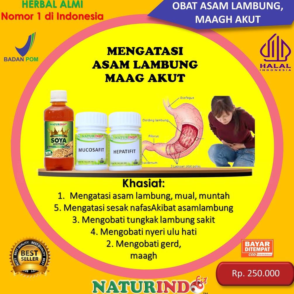 Obat Magh Asam Lambung Yang Bagus, Obat Magh Kronis Paling Ampuh, Obat Magh Herbal, Obat Gerd Asam L