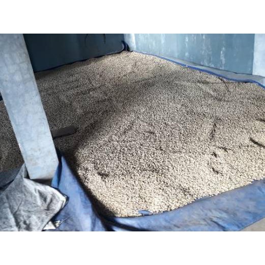 

Diskon✔️Arabica Yellow Bourbon. Garut. 500 Gram. Green Beans.|KD5