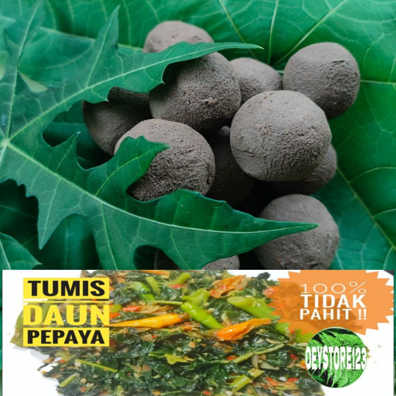 

Tanah liat untuk merebus daun pepaya isi 10 butir siap pakay
