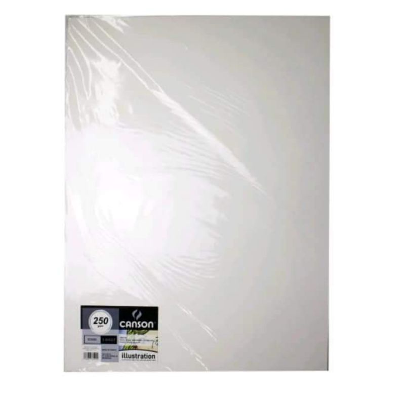 

Canson Illustration 250gsm/50x65/5sheets