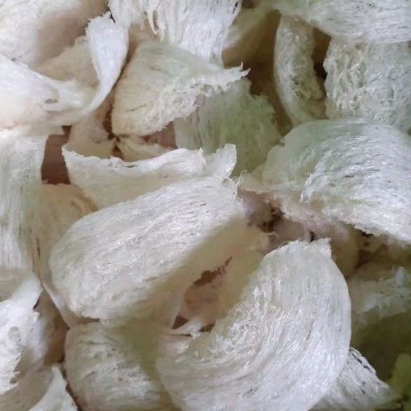 

Sarang burung Walet Bersih 25 gram Bagan / Kualitas Super Premium Tanpa Pengawet