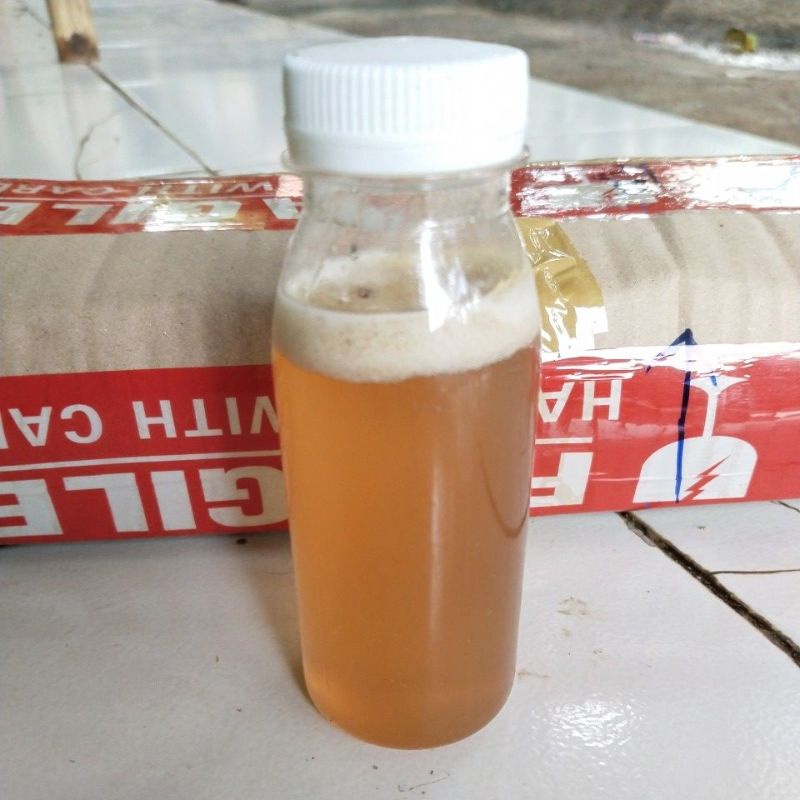 

Madu Murni Trigona Liar_Levinceps Madu lebah Trigona Liar