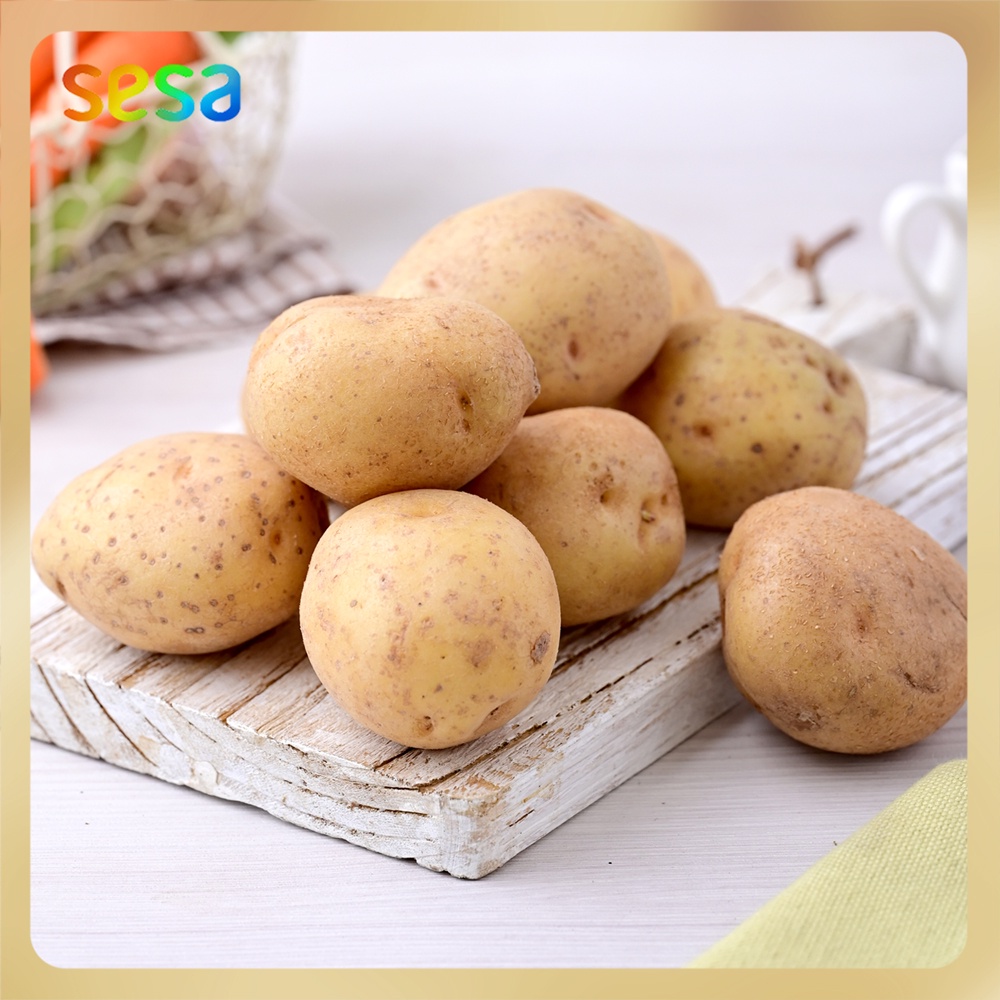 

KENTANG Dieng Natural 1kg - Bebas Pestisida