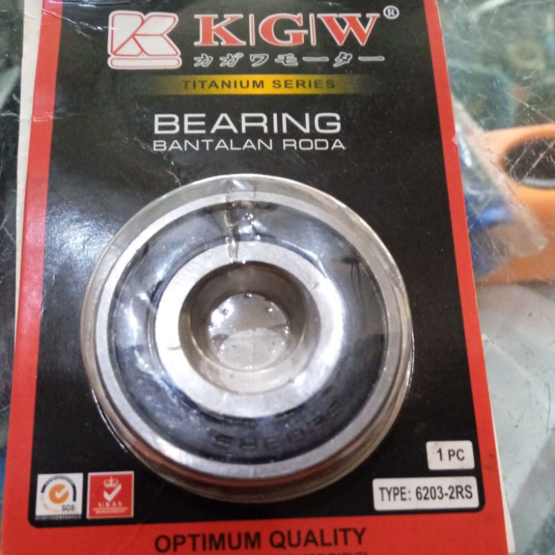 kelahar 6203-2RS KGW