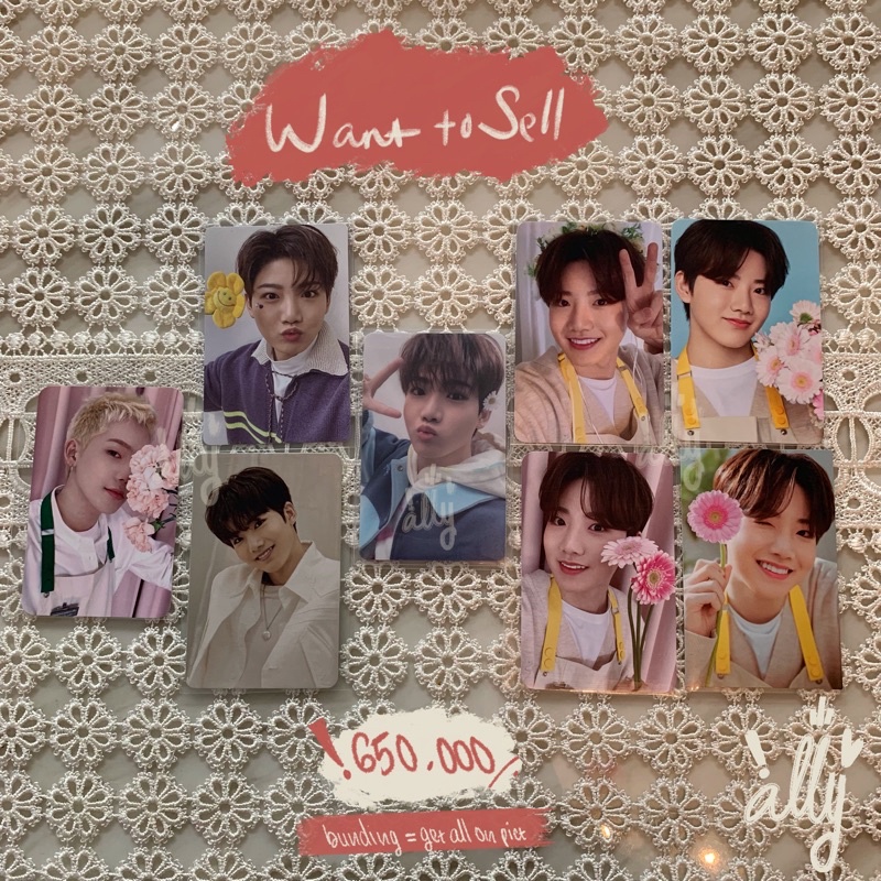 BUNDLE LD THE SAMEE JUNKYU DAISY POUT