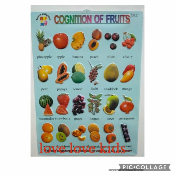 

Gaya Poster Timbul Edukasi Anak Buah Fruit Biru Bagus