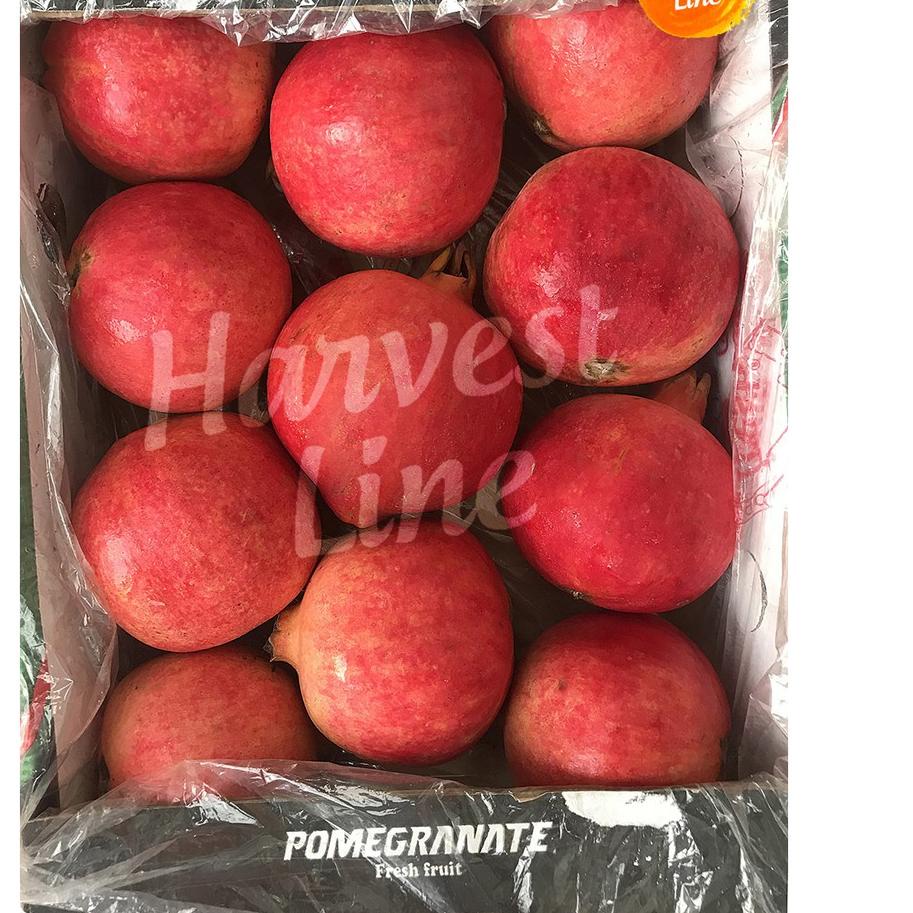 

[✅Mantul ⚡ale❤]BUAH DELIMA MERAH POMEGRANATE IMPOR IMPORT [HARVEST LINE]