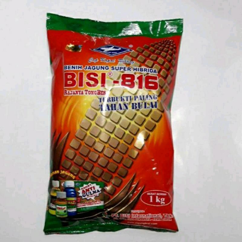 Benih Jangung BISI 816 Kemasan 1kg