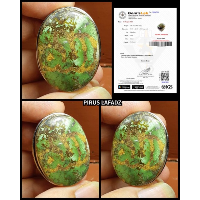 PIRUS PERSIA HIJAU DAUN JUMBO MOTIF GAMBAR