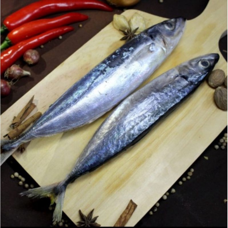 

ikan kembung layang fresh