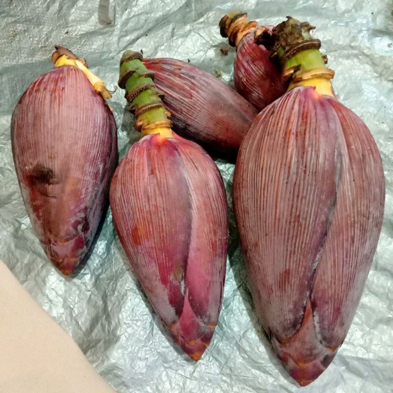 

[Jadwal cek stok di kebun hari minggu] [PO] Jantung Pisang Segar - Kecil / Sedang / Besar