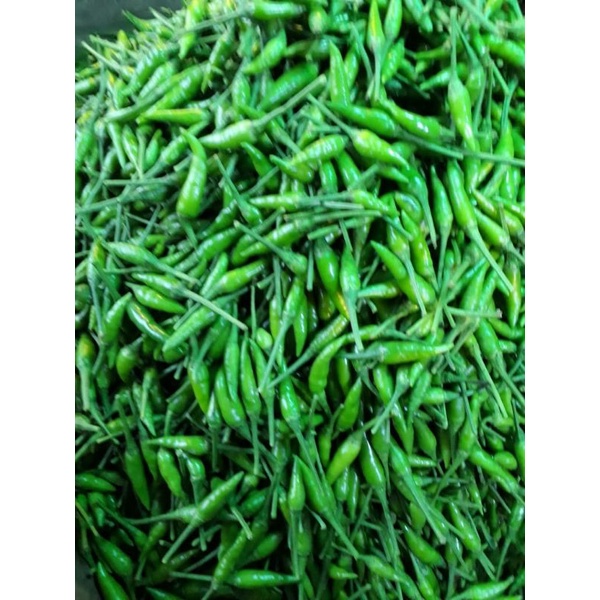 

Cabe Rawit Hijau Super 500 gr