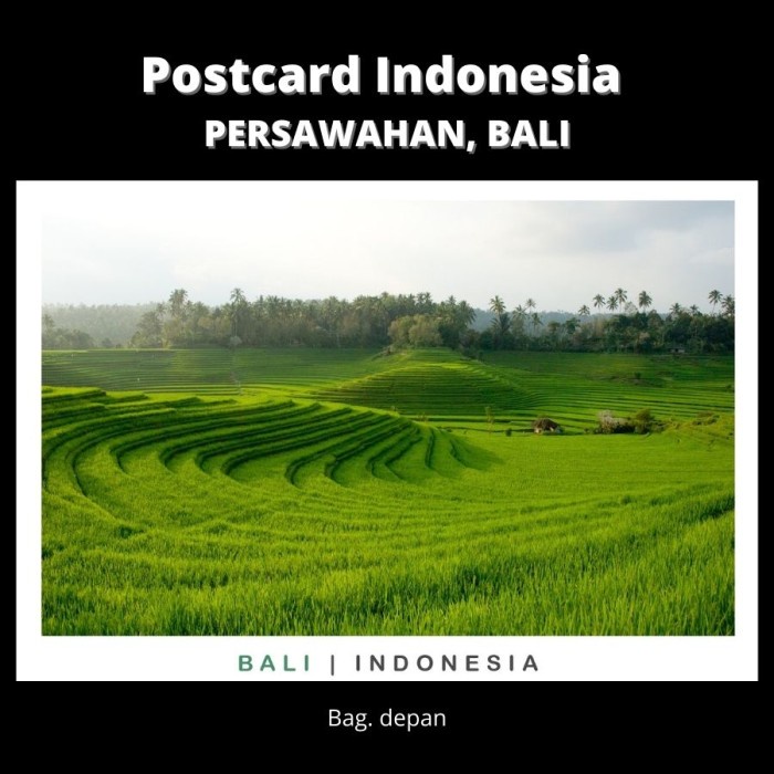 

Update Postcard Indonesia - Rice Field, Bali - Kualitas Premium Terbatas
