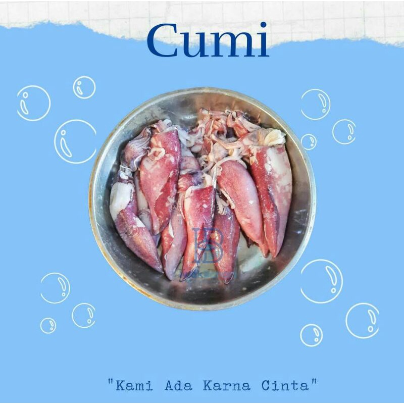 

Cumi Kecil Segar