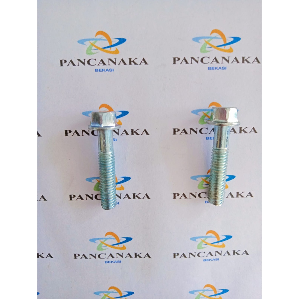 FLANG BOLT 6X30