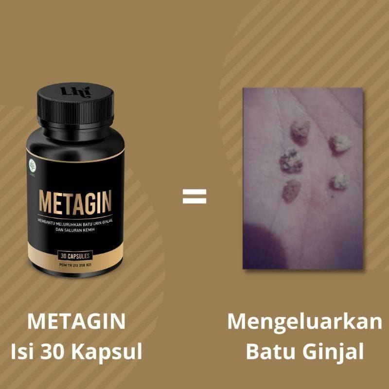 METAGIN Obat Pengancur Batu Ginjal Ampuh Metagin Herbal Original BPOM