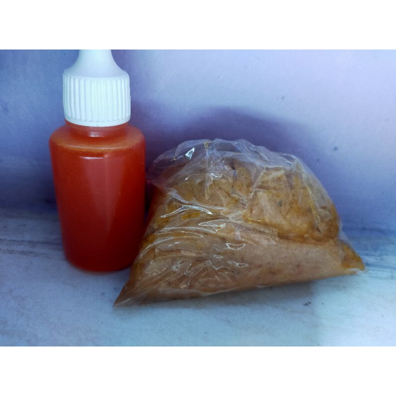 ESEN IKAN MAS BABON JANDA MERAH LOMBA HARIAN KILOGEBRUS GALAPUNG GALATAMA IKAN MAS BONUS UMPAN